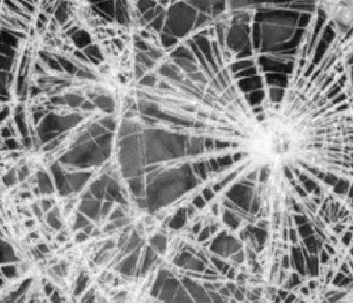 Riojafoto. Abandono. Fotografías