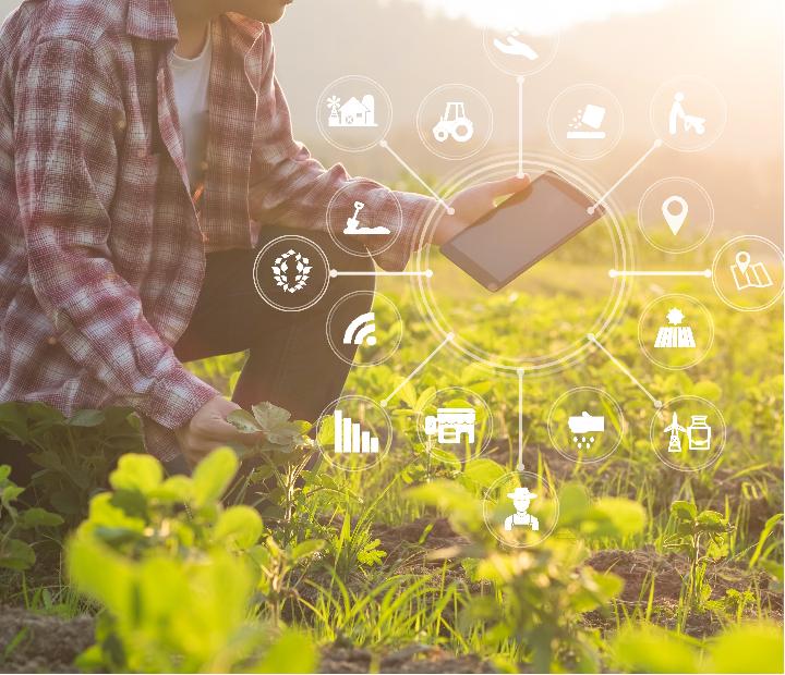 Jornada. Foodtech, oportunidades para la industria agroalimentaria aragonesa