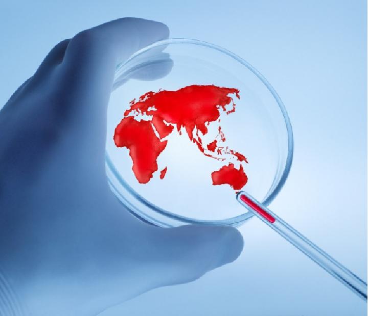 Las enfermedades infecciosas y la Salud Global