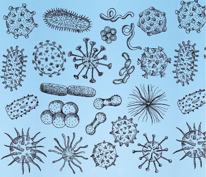 La microbiota humana, un cambio de paradigma en la medicina personalizada