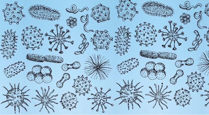 La microbiota humana, un cambio de paradigma en la medicina personalizada