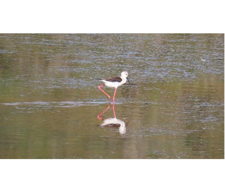 Todo lo que podemos ganar si cambiamos nuestra relación con la naturaleza