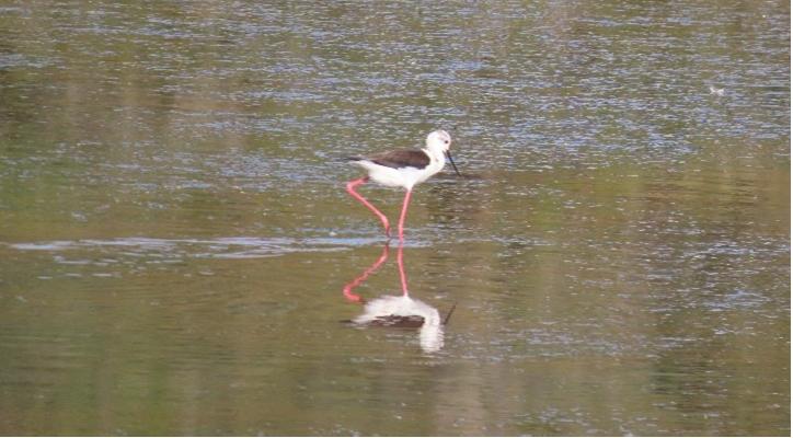 Todo lo que podemos ganar si cambiamos nuestra relación con la naturaleza