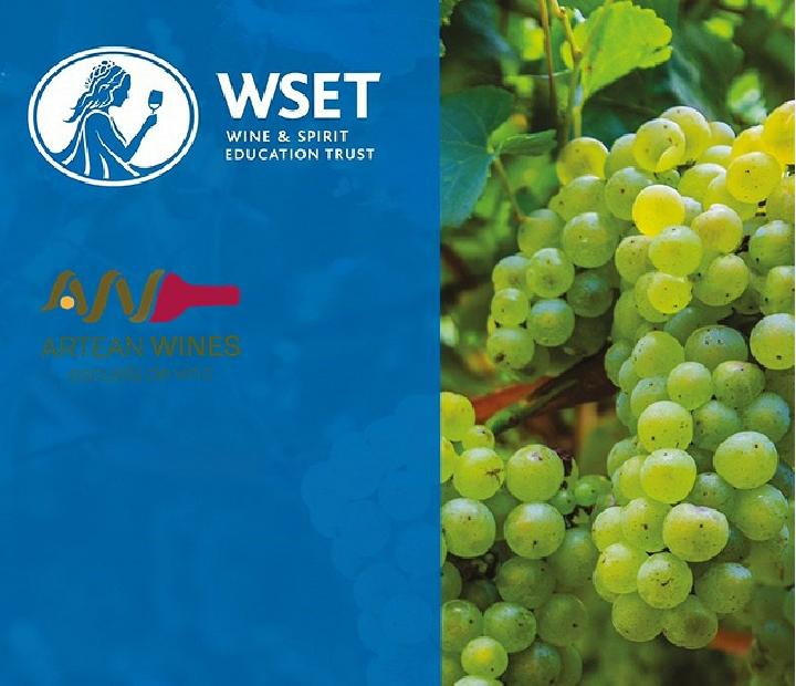 WSET 2 en Vino: mirando más allá de la Etiqueta