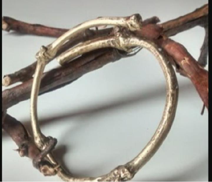 VID: sarmiento y zarcillo