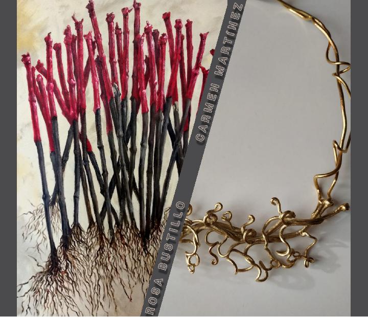 VID: sarmiento y zarcillo