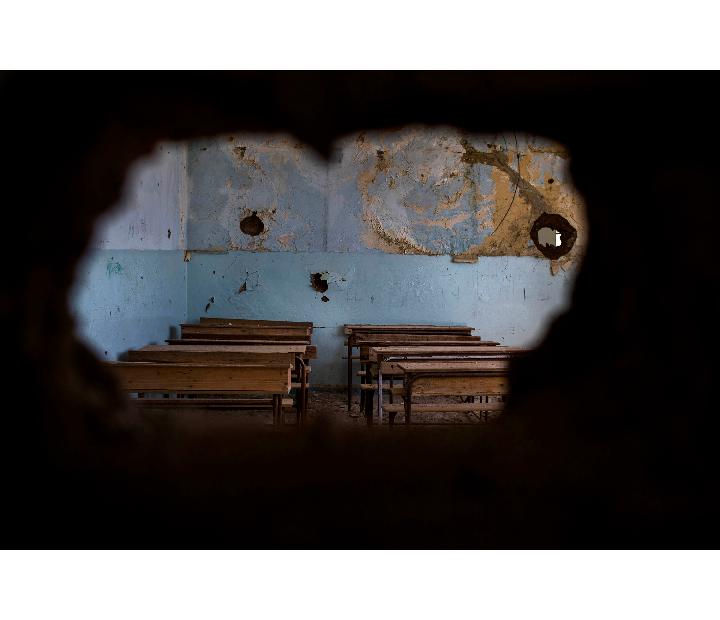 Ciclo fotoperiodismo, la imagen viva