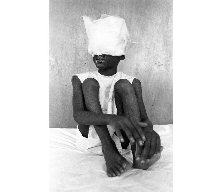 Ciclo fotoperiodismo, la imagen viva