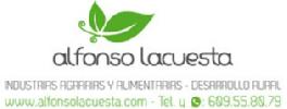 ¿Sabemos realmente qué son los productos ecológicos?