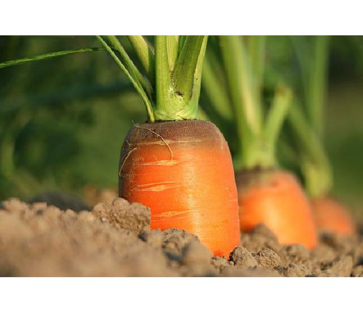 Consumo responsable. Circuitos cortos de comercialización, su importancia en la agricultura ecológica