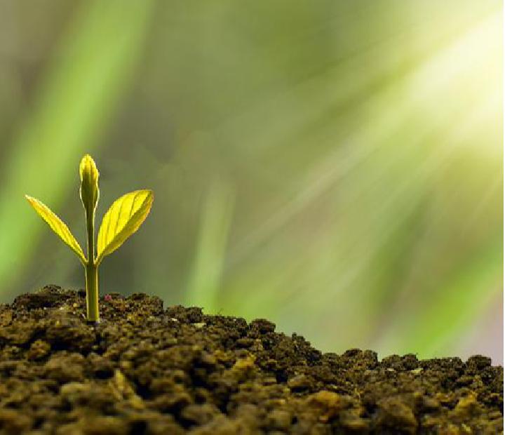 Consumo responsable. Sistemas agroalimentarios, presente y futuro