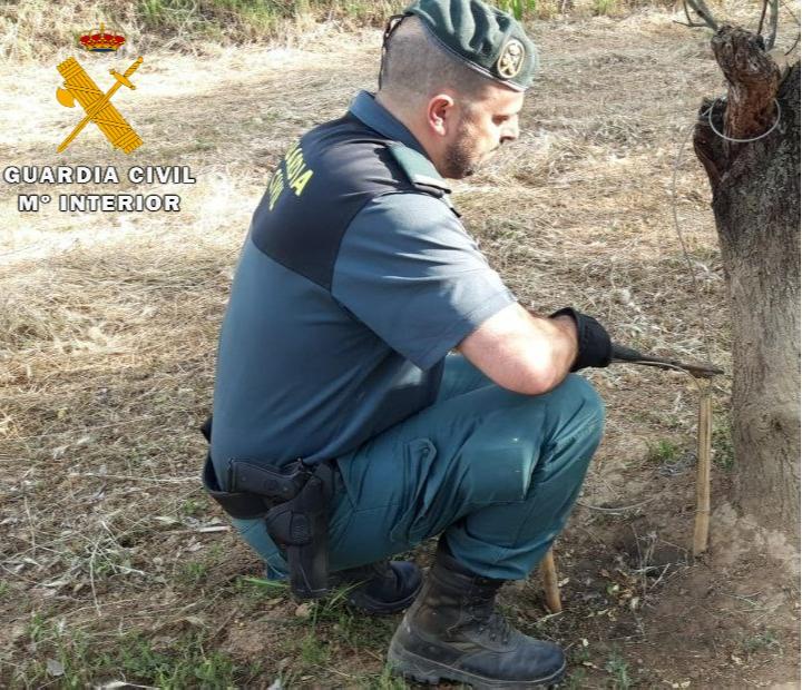 Conoce a la Guardia Civil y sus especialidades