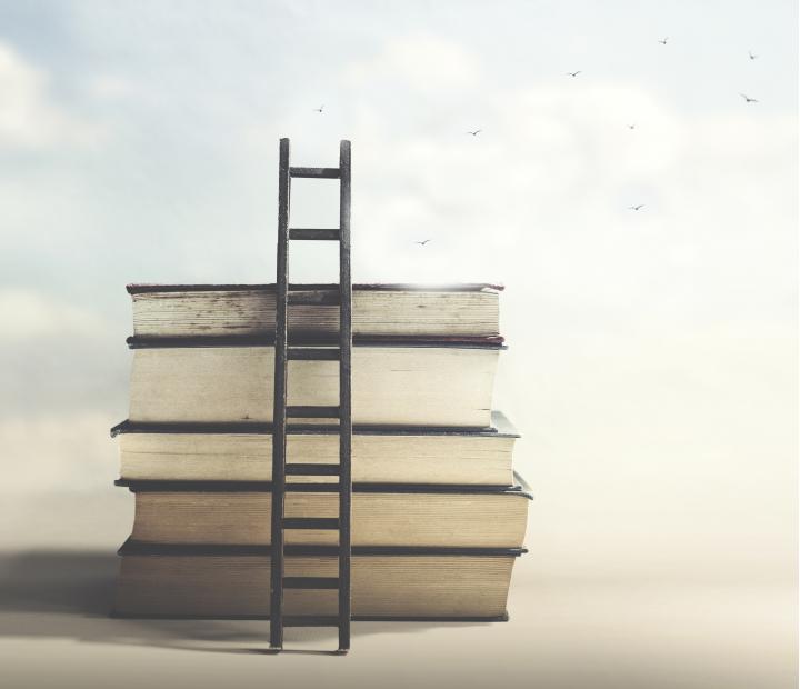 La vida de Braulio Foz y la vida de Pedro Saputo