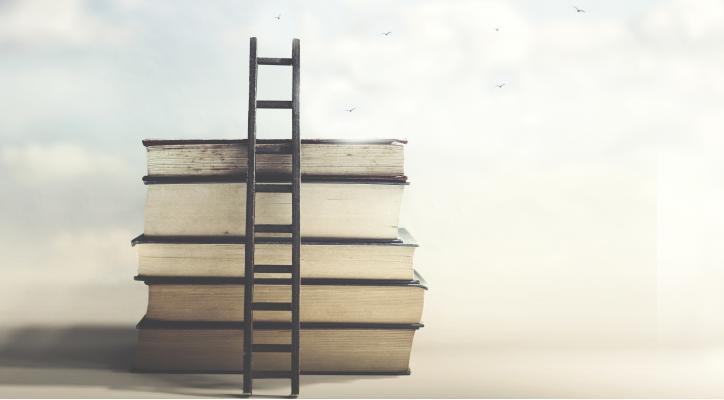 La vida de Braulio Foz y la vida de Pedro Saputo