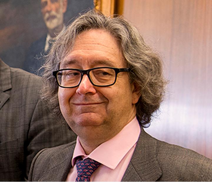 La función constitucional del Rey