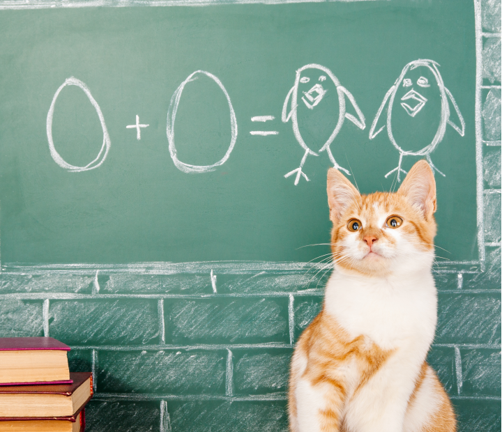 Disparates y gazapos matemáticos