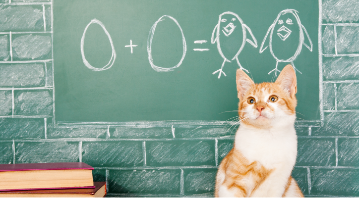 Disparates y gazapos matemáticos