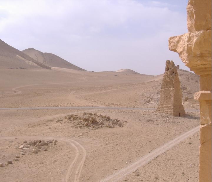 Recuerdos de Siria. Palmira