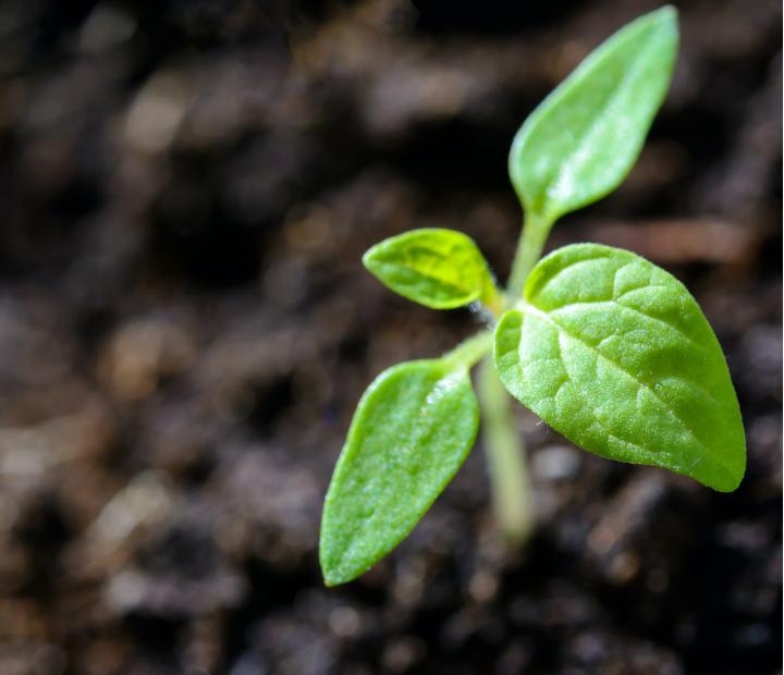 Cursos trimestrales enero-marzo 