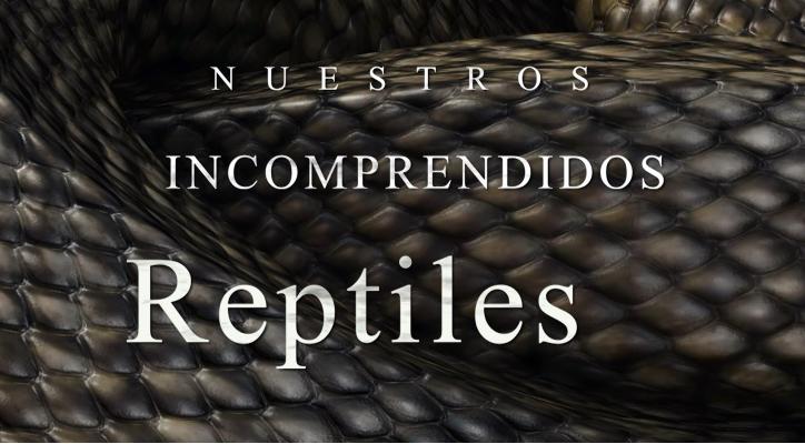 Nuestros incomprendidos reptiles