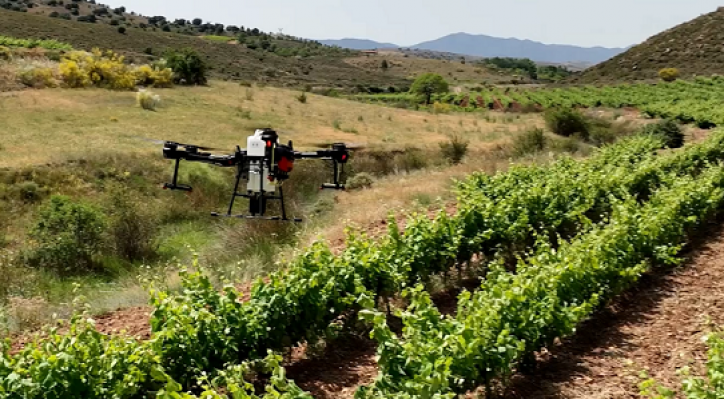 Agricultura de precisión con UAS/drones y piloto profesional de dron STS-ES