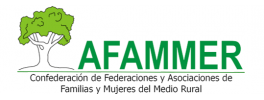 Organizador