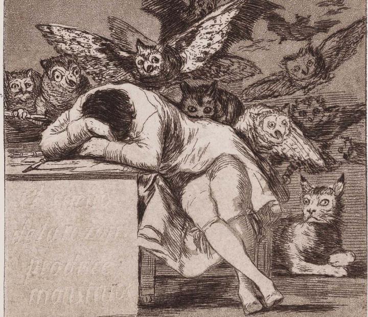 Francisco de Goya. Testigo de su tiempo