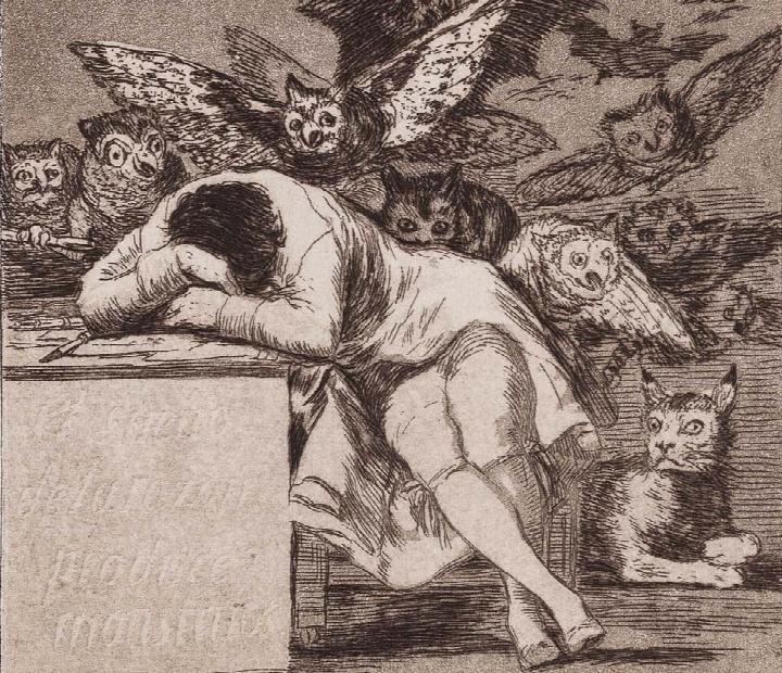 Francisco de Goya. Testigo de su tiempo