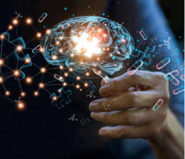 Conoce y trabaja tu cerebro. Memoria y estimulación cognitiva.