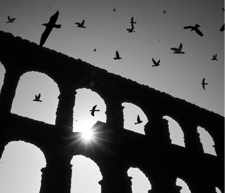 Doce miradas con solidaridad