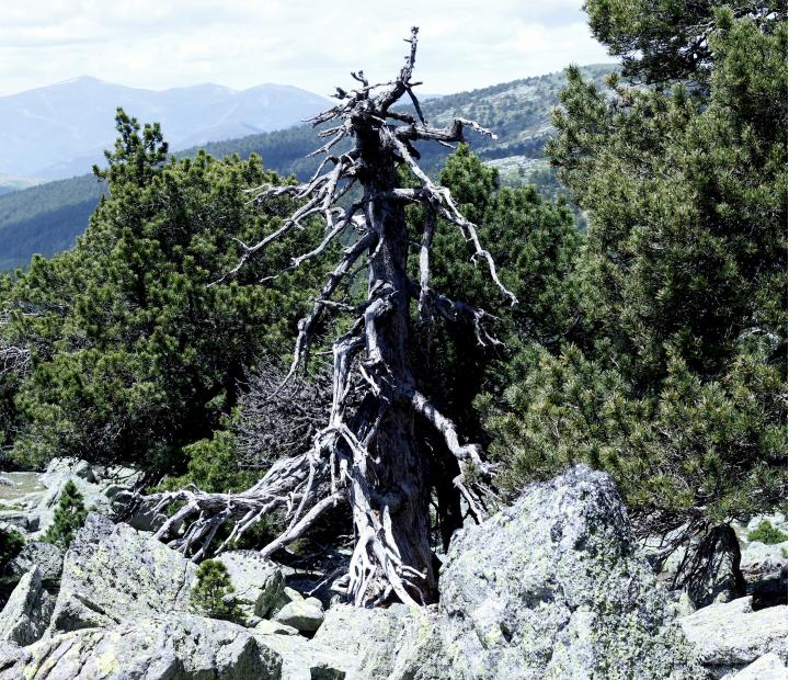 Historias de la tierra