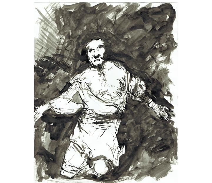 Desastres. Fernando Alvira