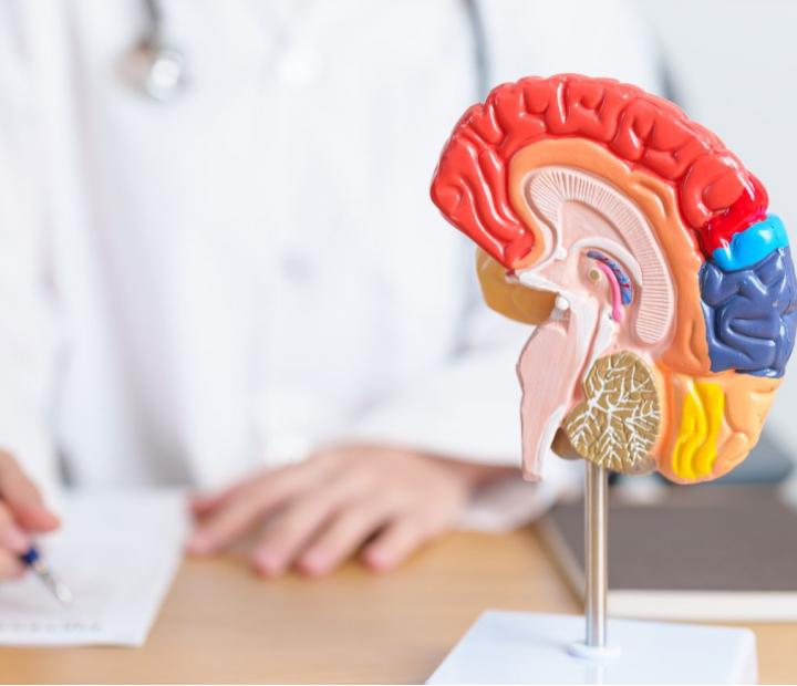 Mantén tu cerebro sano: Neurociencia para vivir más y mejor