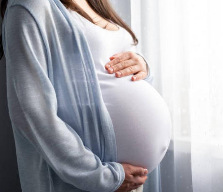 La Gestación Subrogada