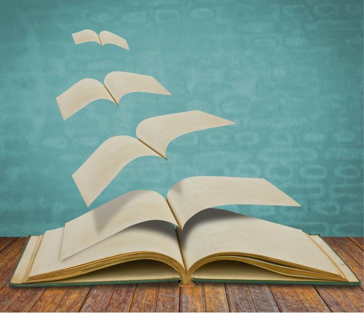 Cine y literatura. Novela y cine. Un matrimonio mal avenido