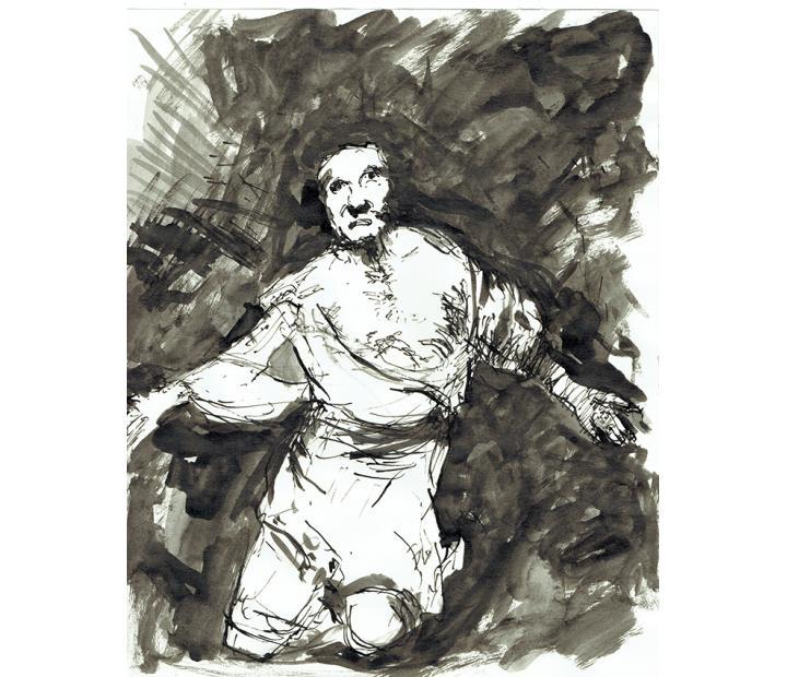 Desastres. Fernando Alvira