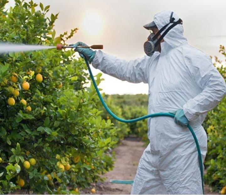 Manipulador de plaguicidas de uso fitosanitario