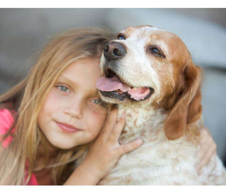 Amigos y peludos. Descubre el mundo de la educación canina en familia