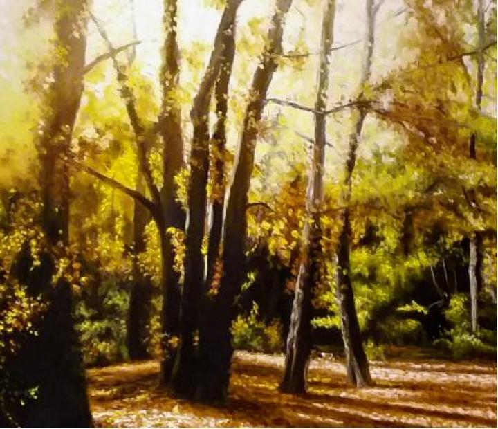 Taller de dibujo y pintura al óleo