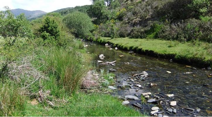 Ecoturismo en la Sierra Norte de Guadalajara