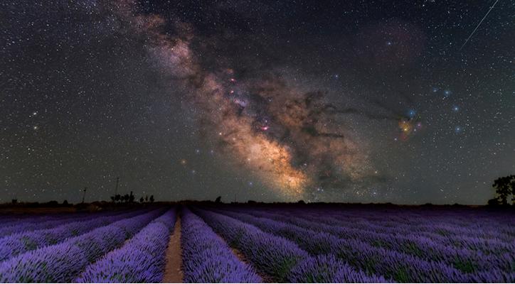 La vida y los cielos estrellados