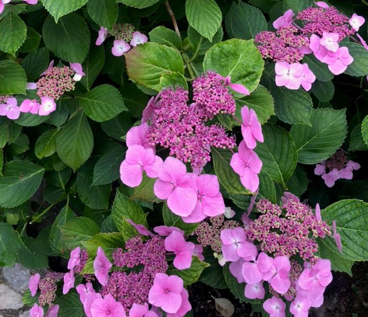 Bienestar, autoestima y empoderamiento