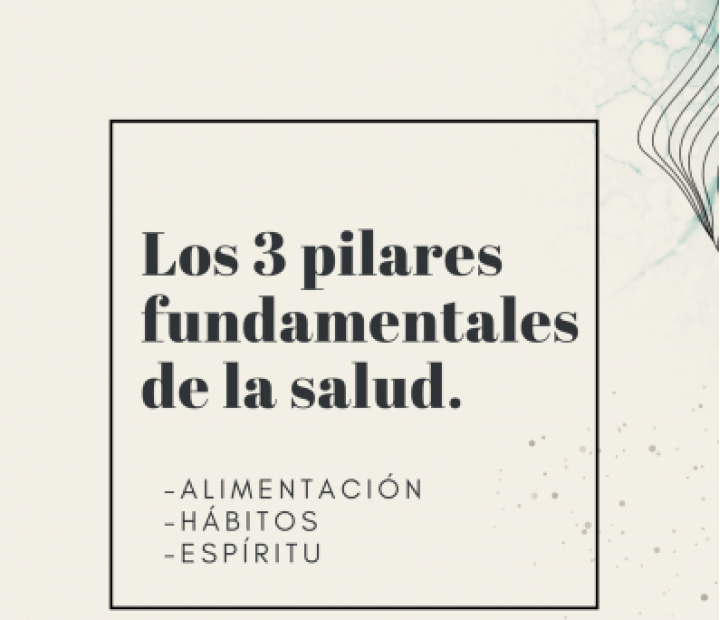 Los 3 pilares fundamentales de la salud
