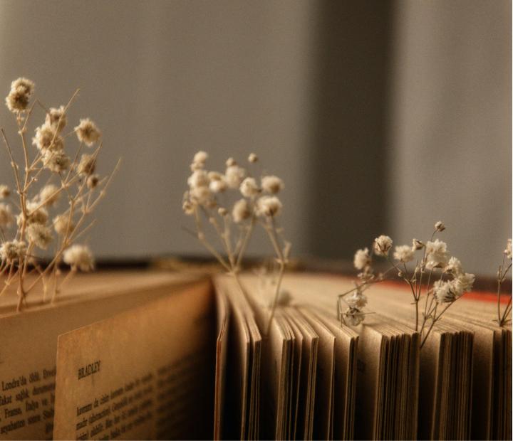 Memoria. Nivel básico