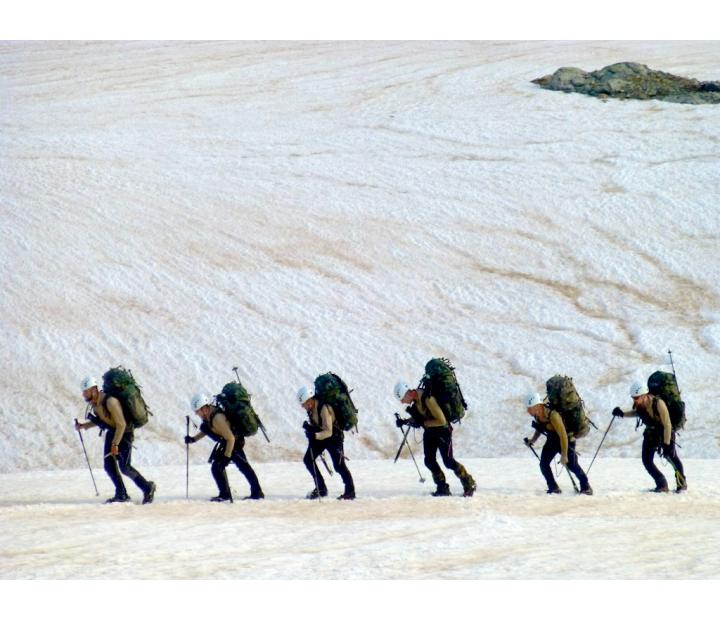 Fuerzas Armadas expedicionarias y pacificadoras