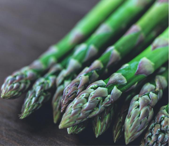 Catas comentadas: Espárrago verde de Guadalajara