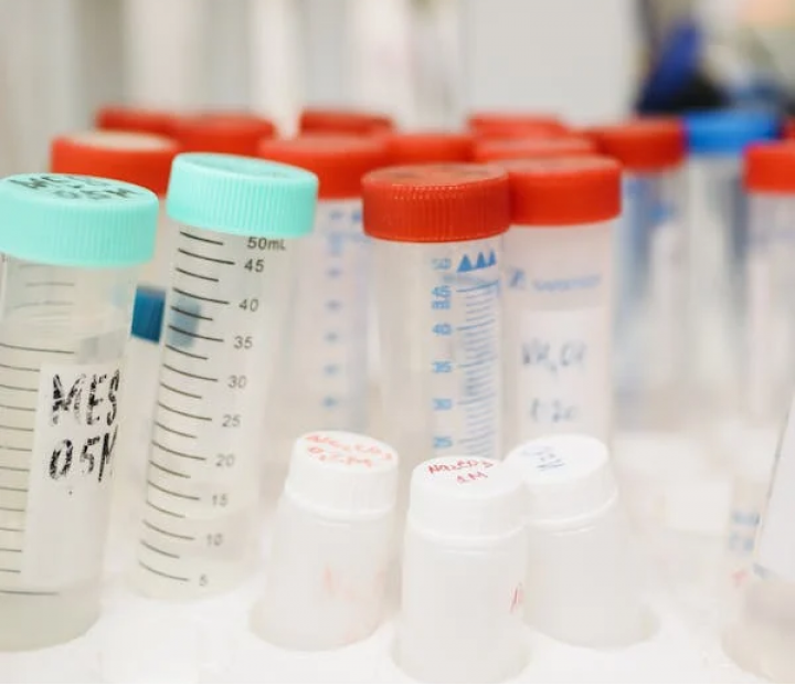 Taller de recogida de muestras de análisis