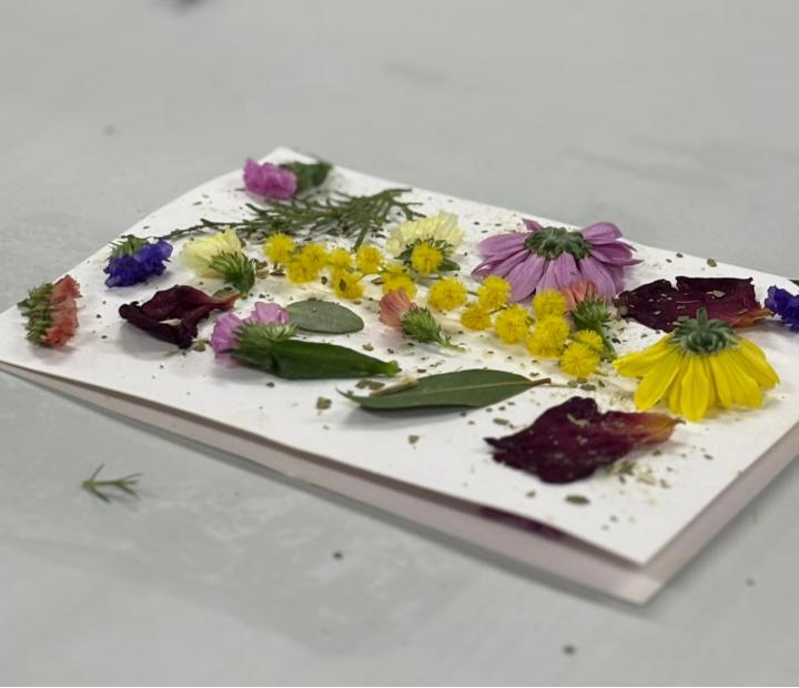 Taller de Ecoprint adaptado. CTL Los Tigres. ATADES