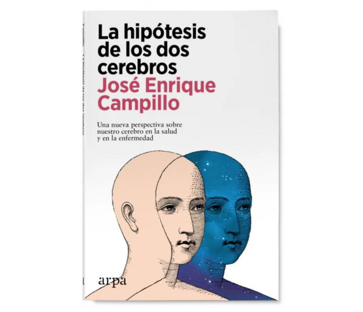 La hipótesis de los dos cerebros