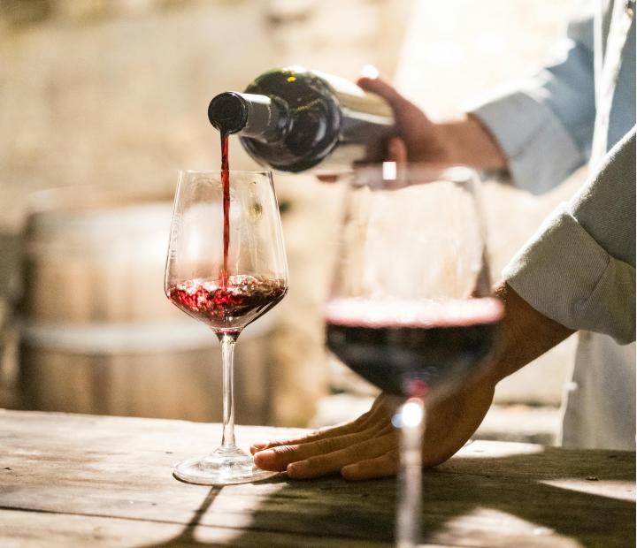 Cata de vinos tintos con crianza